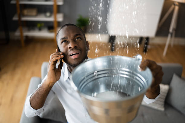 Best Residential water damage restoration  in Culver City, CA