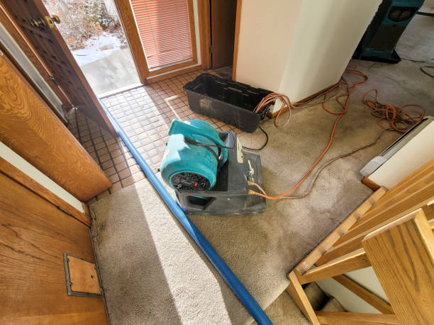 Best Flooded house restoration  in Culver City, CA
