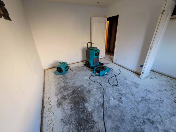 Best Local water damage restoration  in Culver City, CA