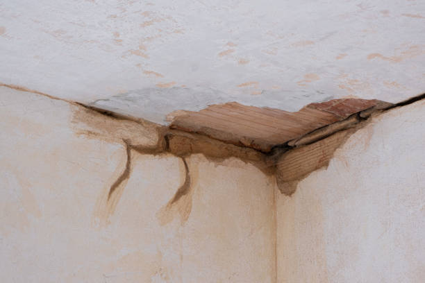 Best Water damage restoration process  in Culver City, CA