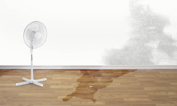 Best Carpet water damage restoration  in Culver City, CA