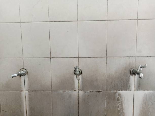 Best Flood damage cleanup  in Culver City, CA
