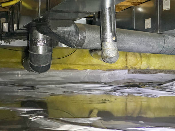 Best Basement water damage restoration  in Culver City, CA