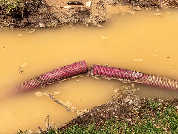 Best Water damage restoration near me  in Culver City, CA