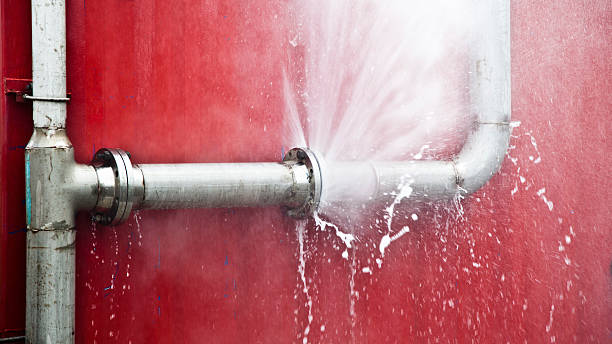 Best Water damage restoration near me  in Culver City, CA